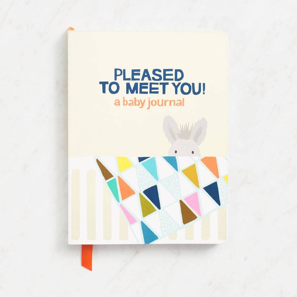 Pleased to Meet You!: A Baby Journal