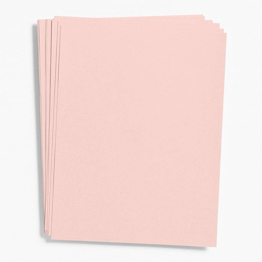 Rose Card Stock 8.5" x 11"