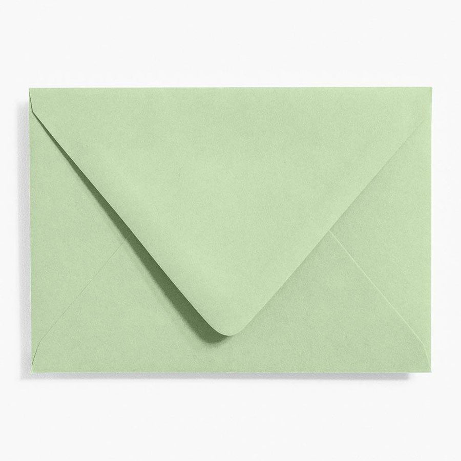 Eucalyptus 4 Bar Envelopes
