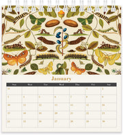 2027 Archive Desk Calendar