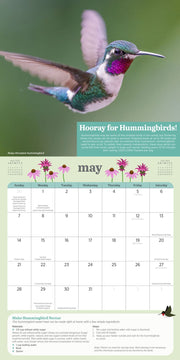 2023 Kids' Birding Activity Wall Calendar