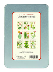 Succulents Carte Postale Postcard Set