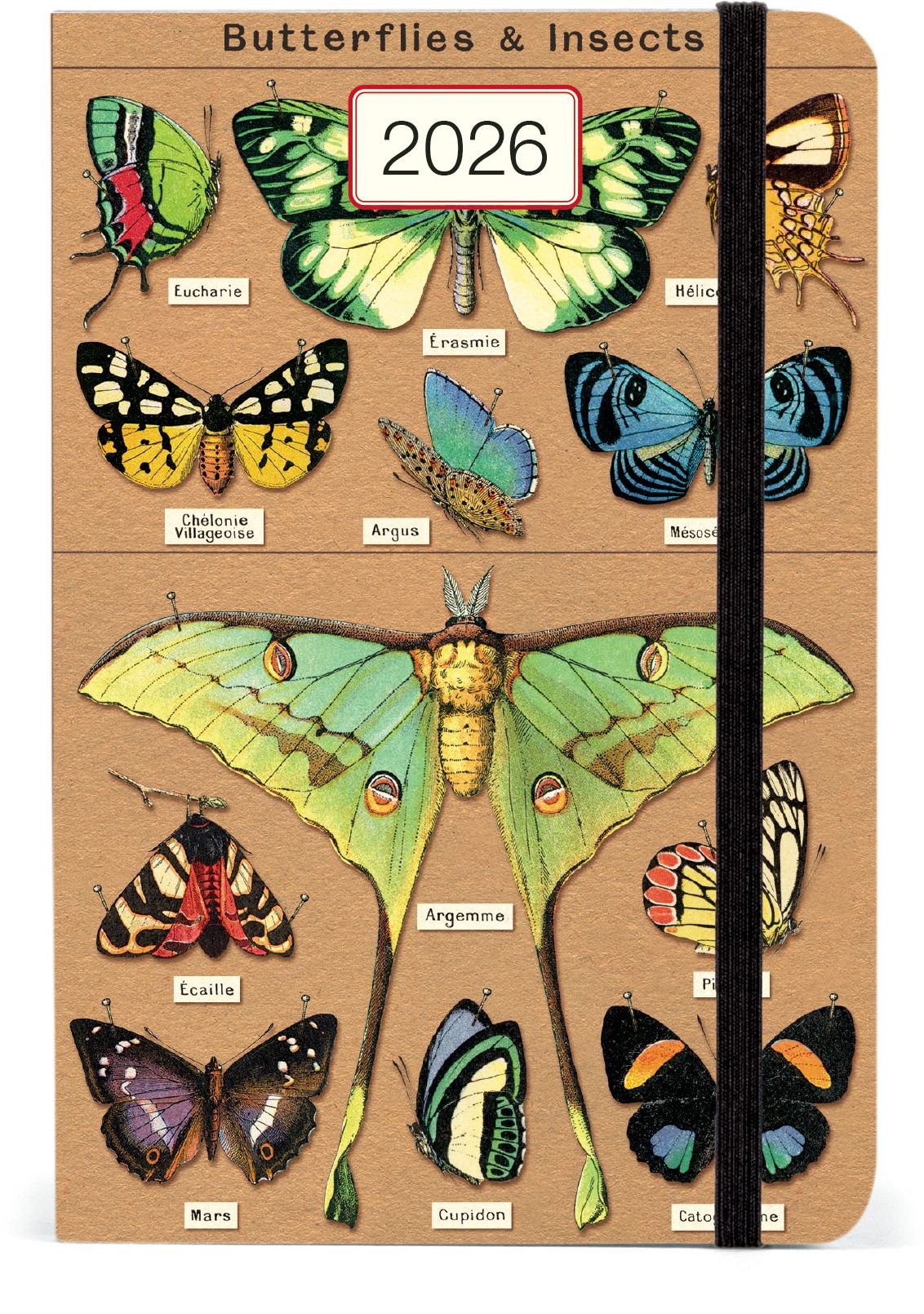 2026 Entomology Weekly Planner