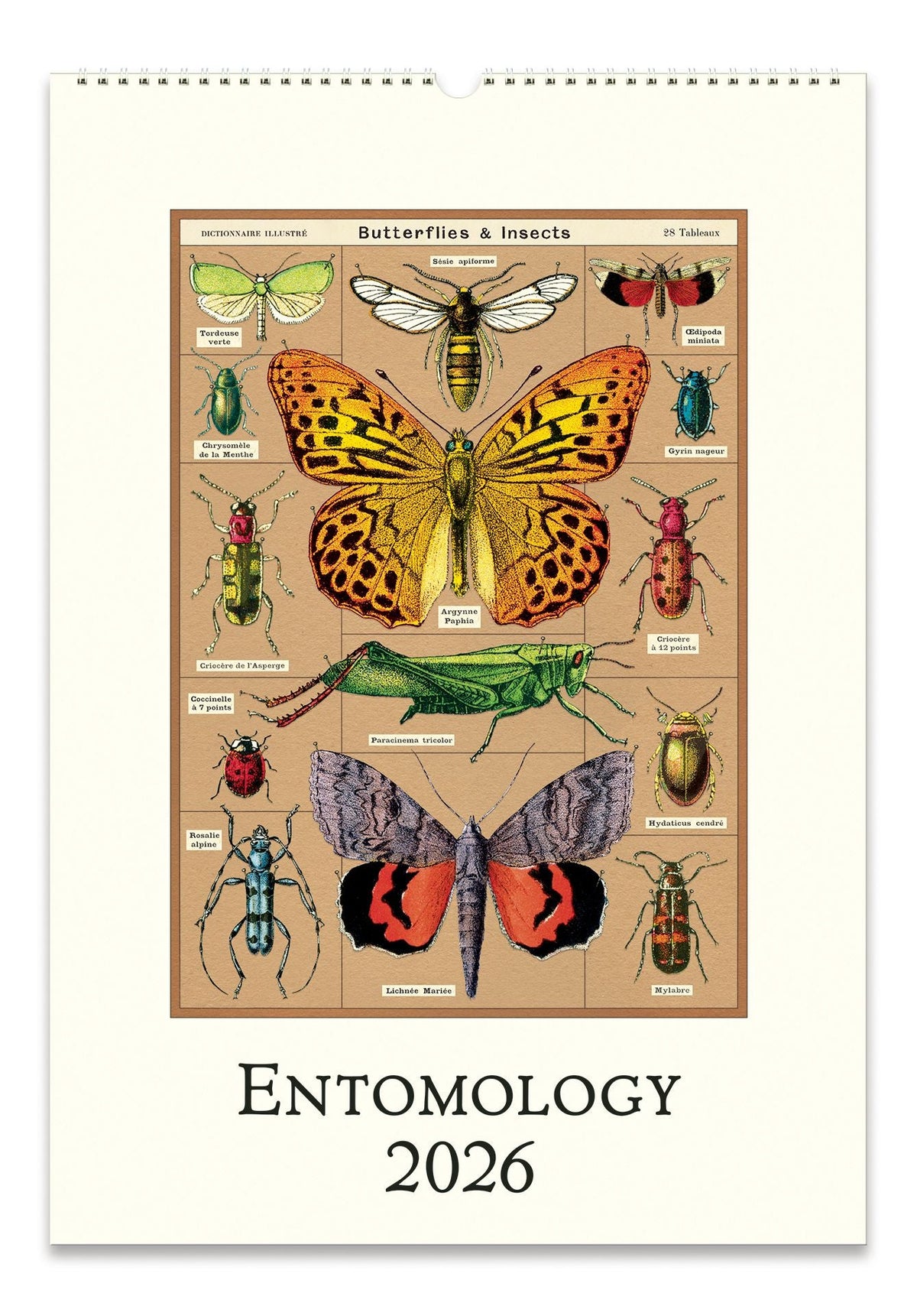 2026 Entomology Wall Calendar