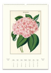 2026 Cavallini Botanica Wall Calendar