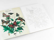 Natural History - Artists' Colouring Book